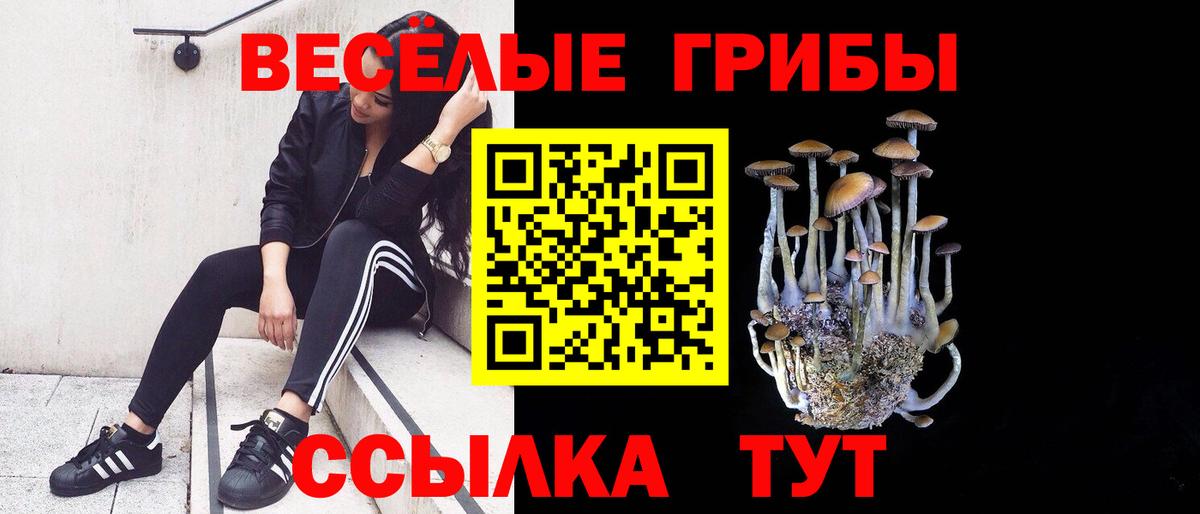Галлюциногенные грибы MAGIC MUSHROOMS Кашира